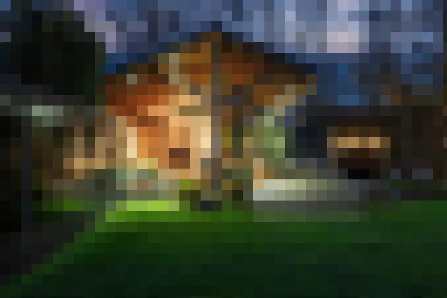 Hollandscheveldse Opg 99 a Hollandscheveld thumbnail 120