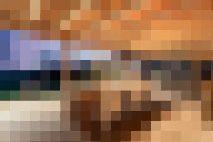 Hollandscheveldse Opg 99 a Hollandscheveld thumbnail 123