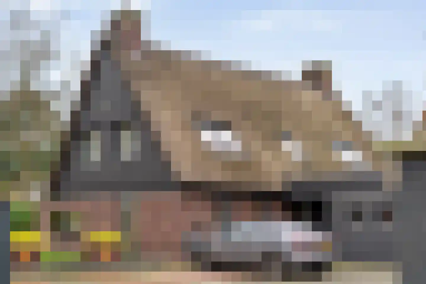 Hollandscheveldse Opg 99 a Hollandscheveld thumbnail 6