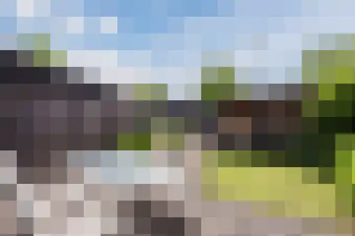 Hollandscheveldse Opg 99 a Hollandscheveld thumbnail 64