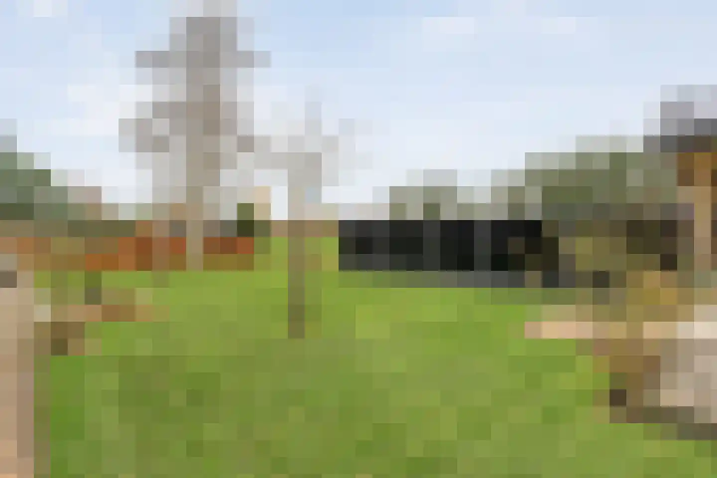 Hollandscheveldse Opg 99 a Hollandscheveld thumbnail 86