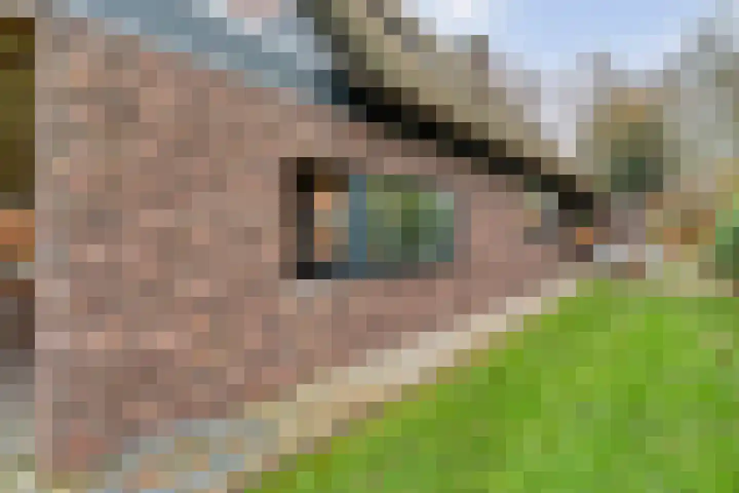 Hollandscheveldse Opg 99 a Hollandscheveld thumbnail 97
