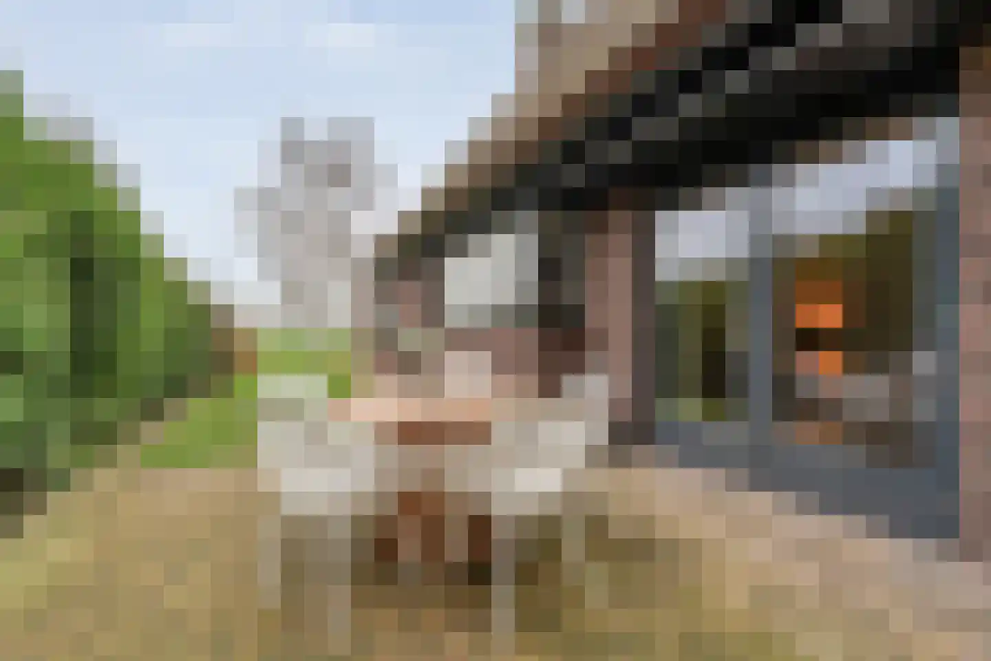 Hollandscheveldse Opg 99 a Hollandscheveld thumbnail 99