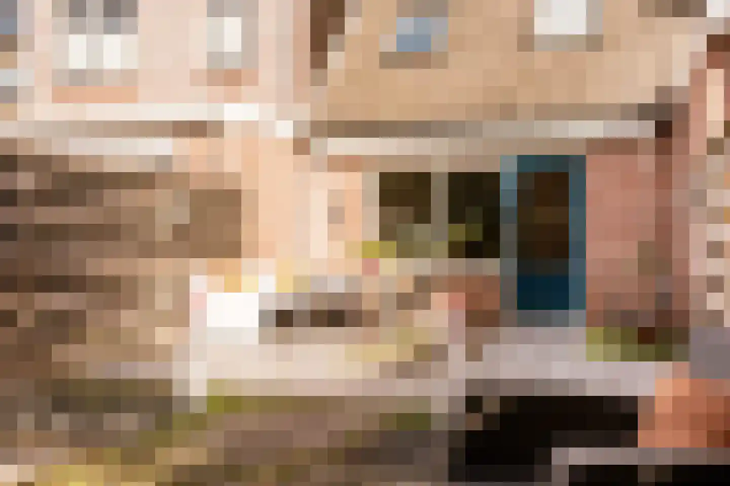 Hollandse Aak 16 Velserbroek thumbnail 16