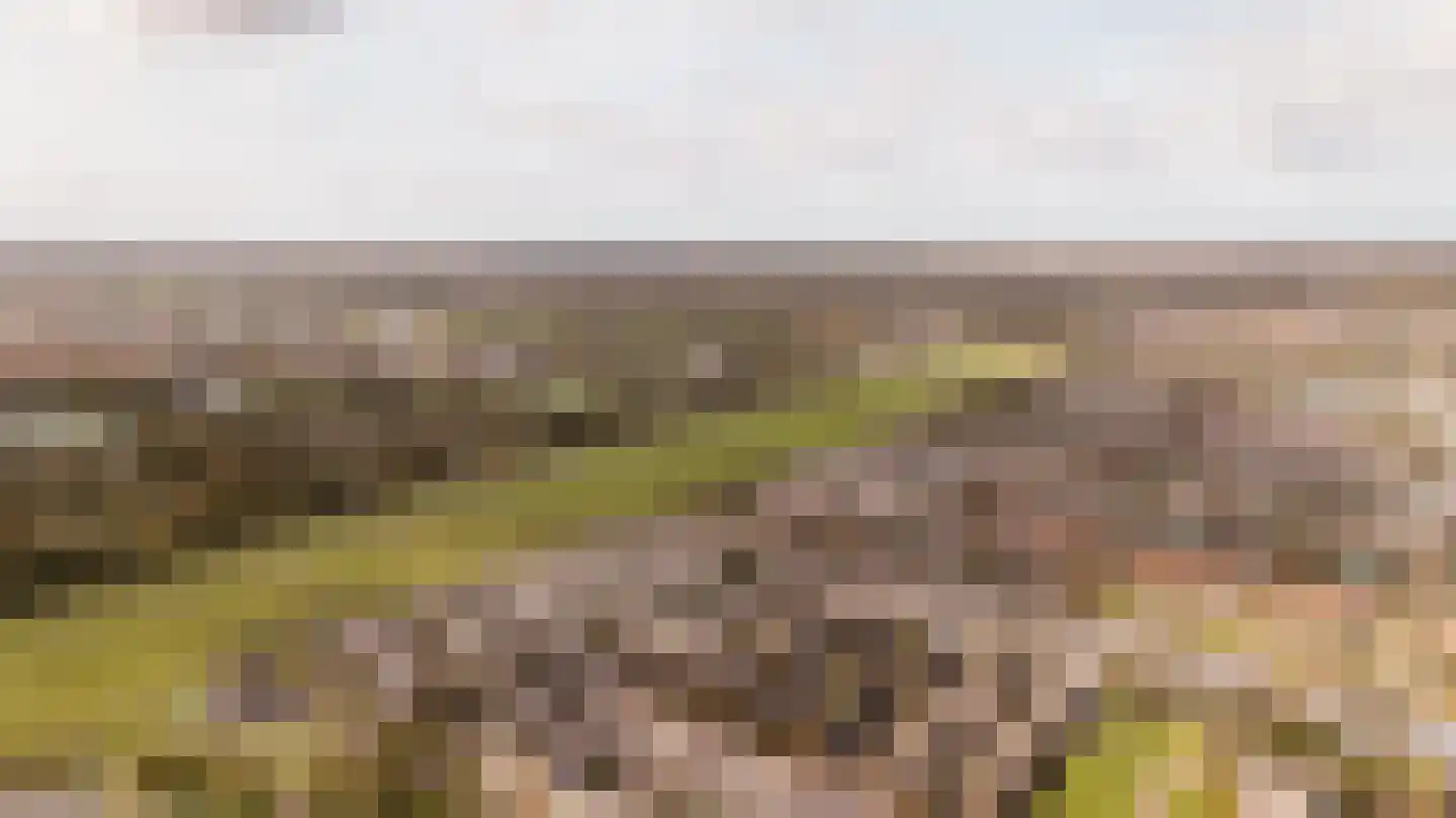 Hollandse Aak 16 Velserbroek thumbnail 5