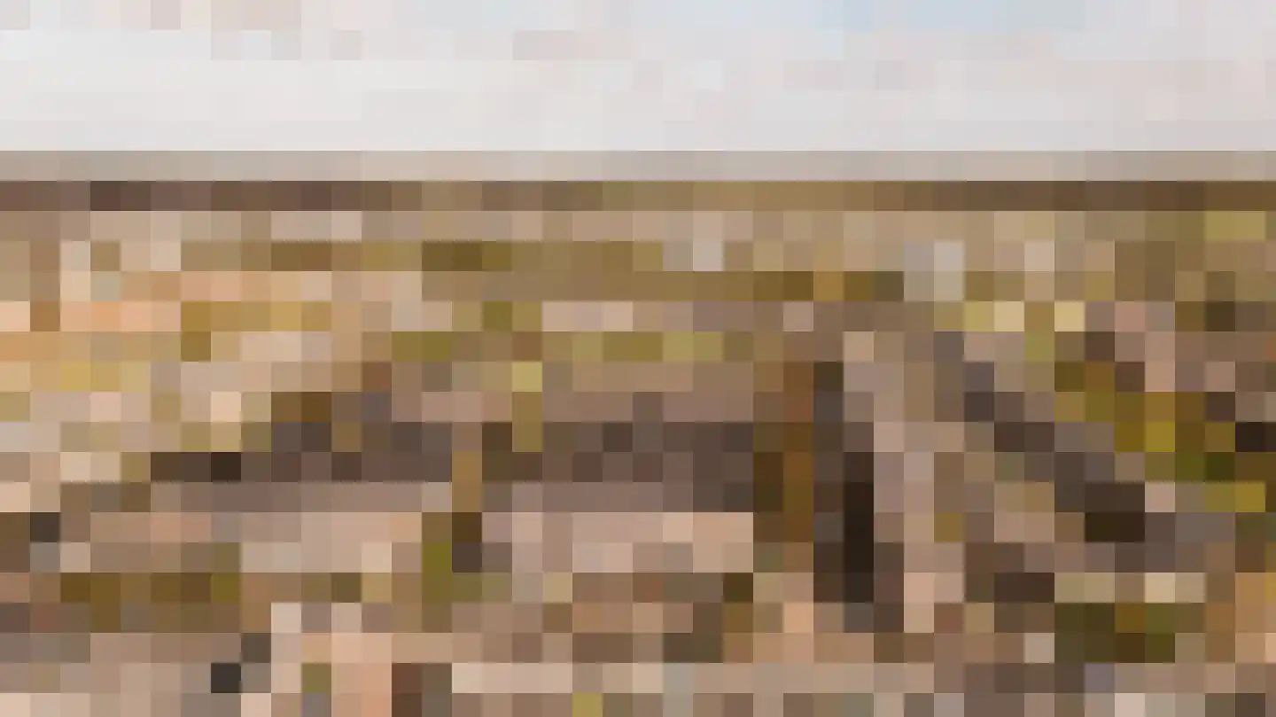 Hollandse Aak 16 Velserbroek thumbnail 50