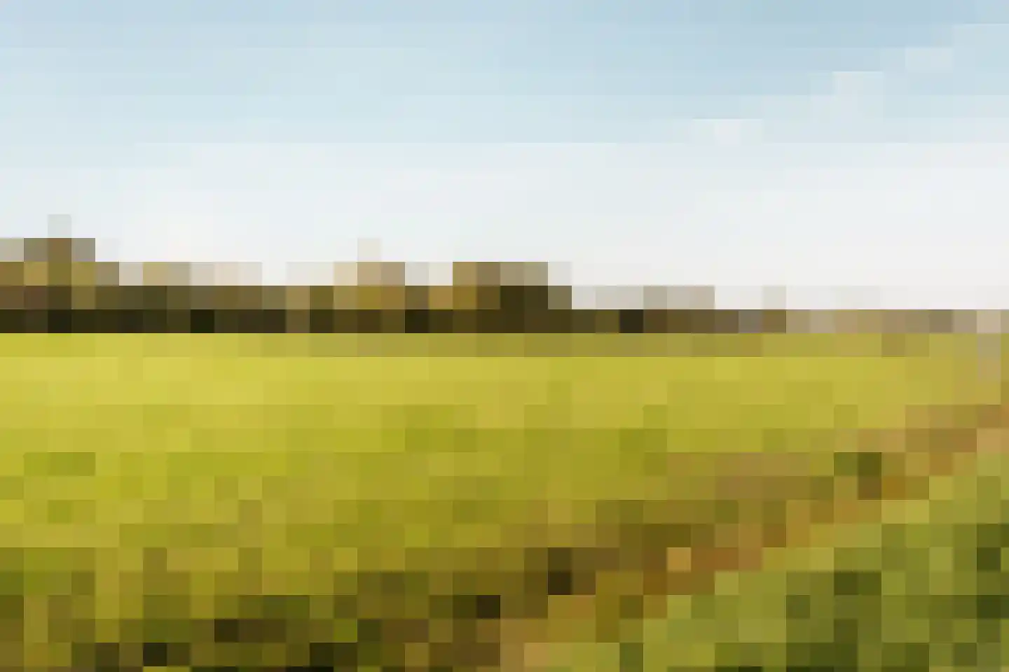 Hollandse Aak 16 Velserbroek thumbnail 54