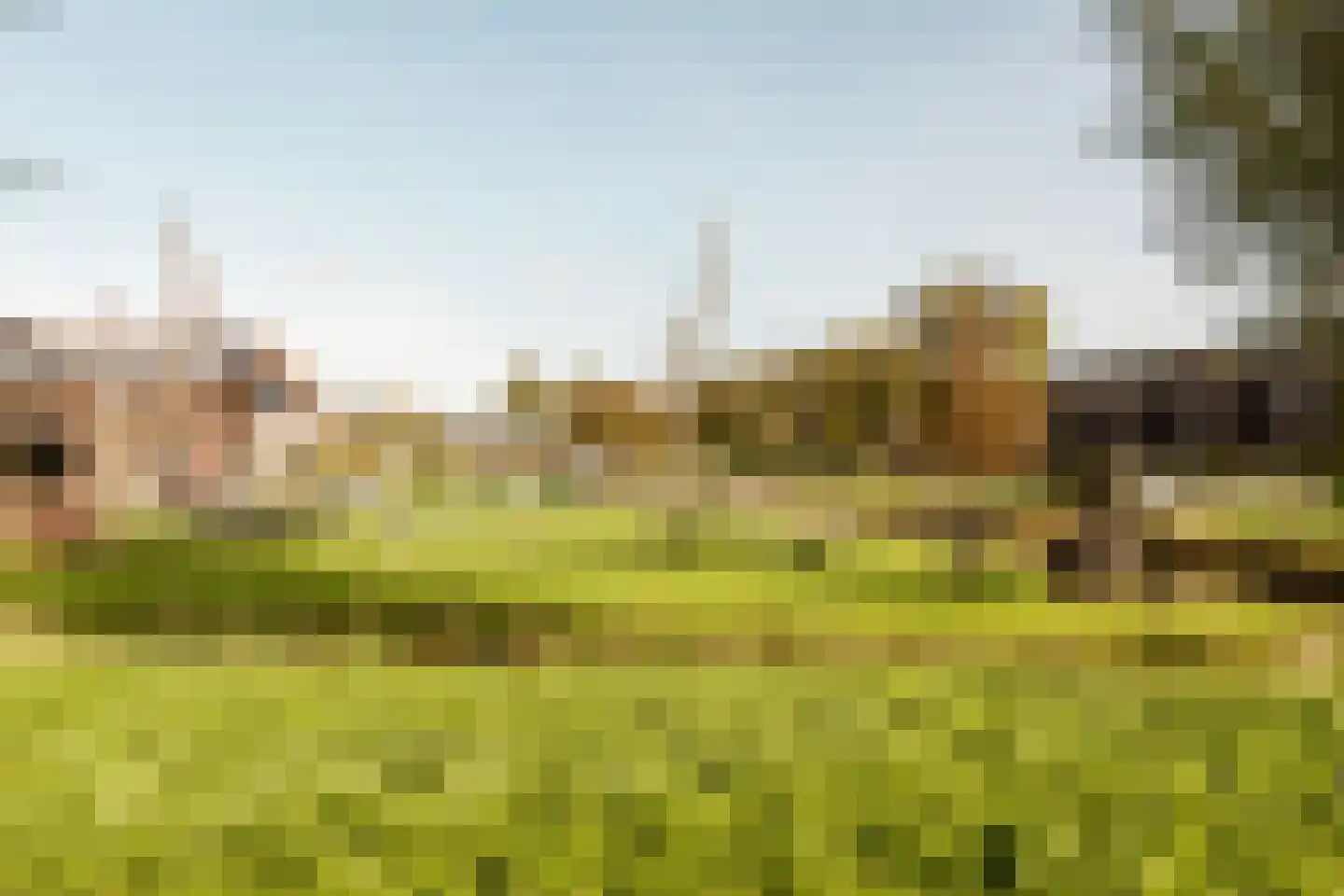 Hollandse Aak 16 Velserbroek thumbnail 56