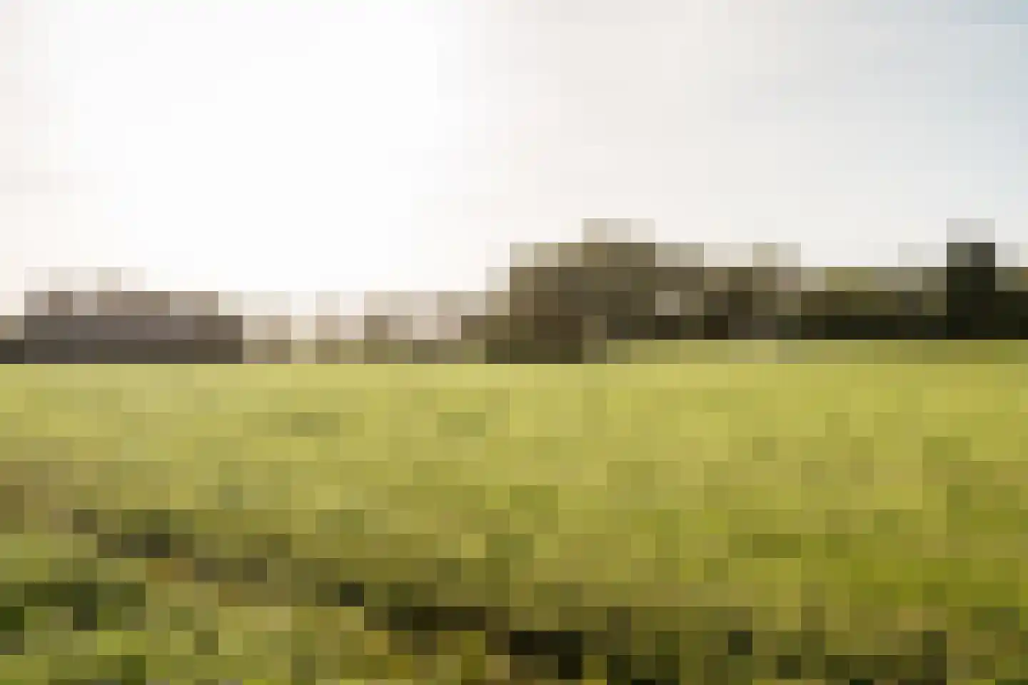 Hollandse Aak 16 Velserbroek thumbnail 57