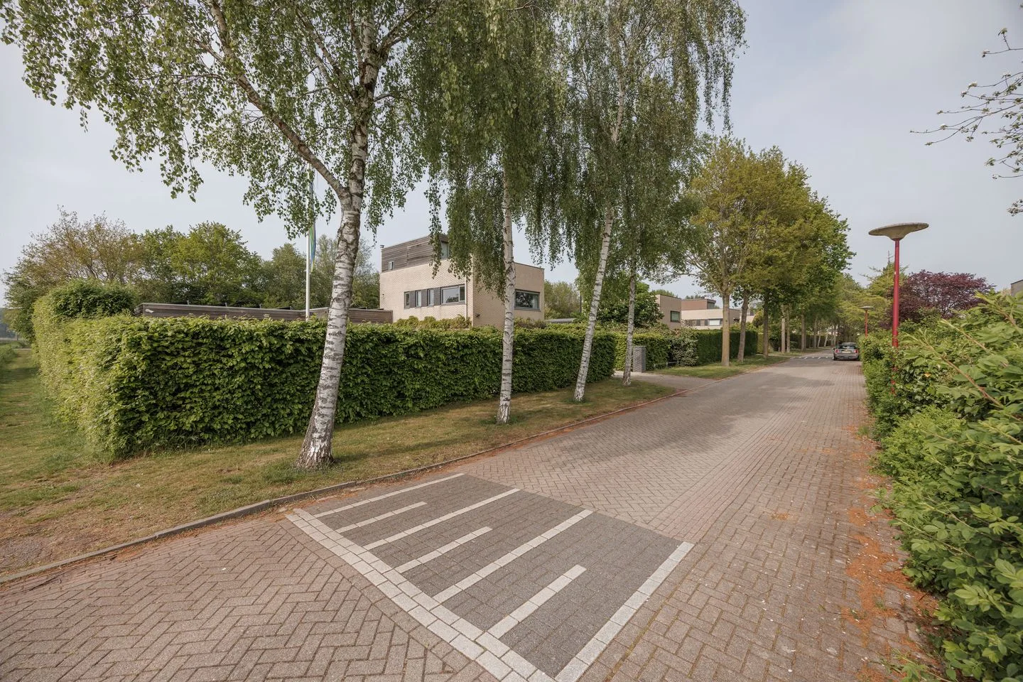 Hollandse Hout 113 Lelystad thumbnail 8