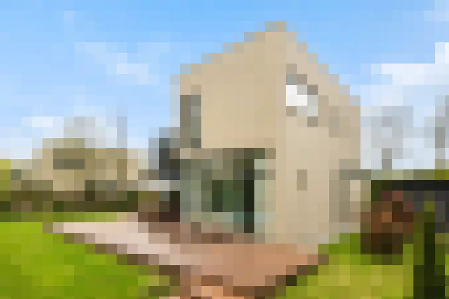 Hollandse Hout 140 Lelystad thumbnail 46