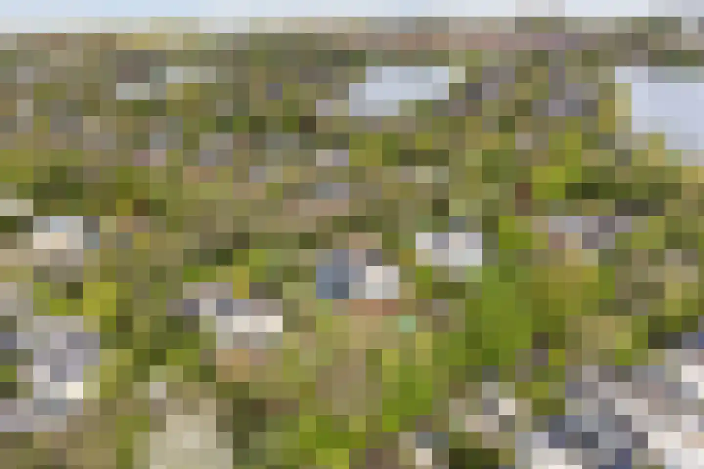Hollandse Hout 140 Lelystad thumbnail 70