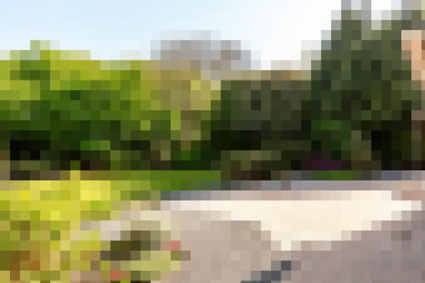 Hollandse Hout 162 Lelystad thumbnail 31
