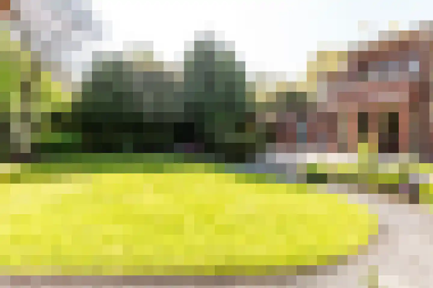 Hollandse Hout 162 Lelystad thumbnail 36