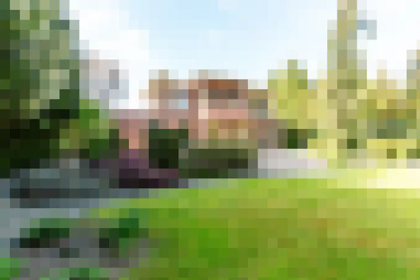 Hollandse Hout 162 Lelystad thumbnail 37