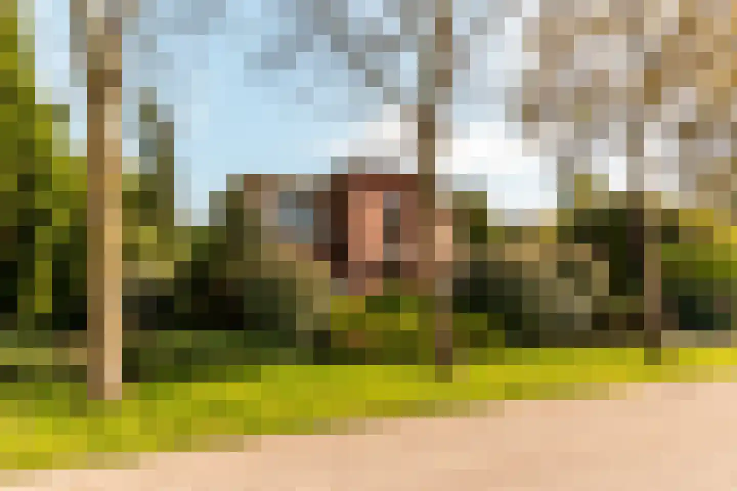 Hollandse Hout 162 Lelystad thumbnail 43