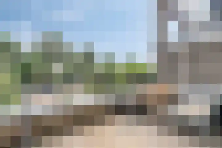 Hollandse Hout 186 Lelystad thumbnail 19