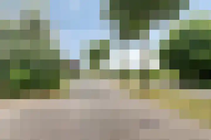 Hollandse Hout 186 Lelystad thumbnail 60