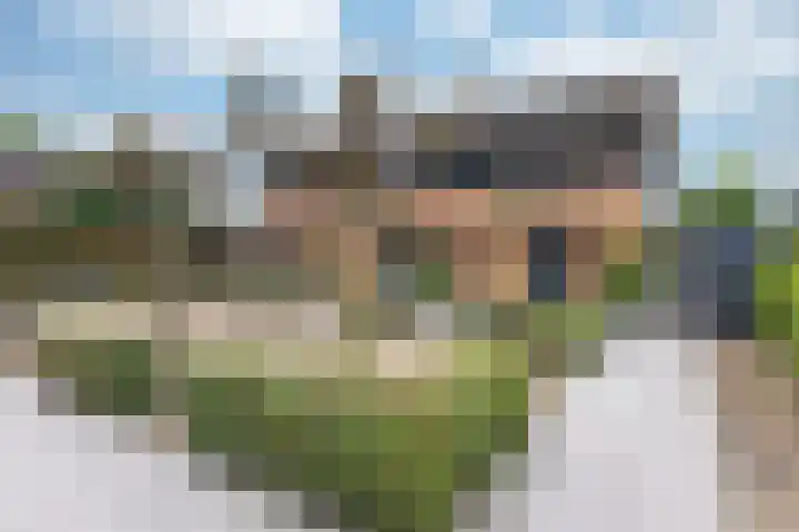 Hollandse Hout 225 Lelystad thumbnail 5