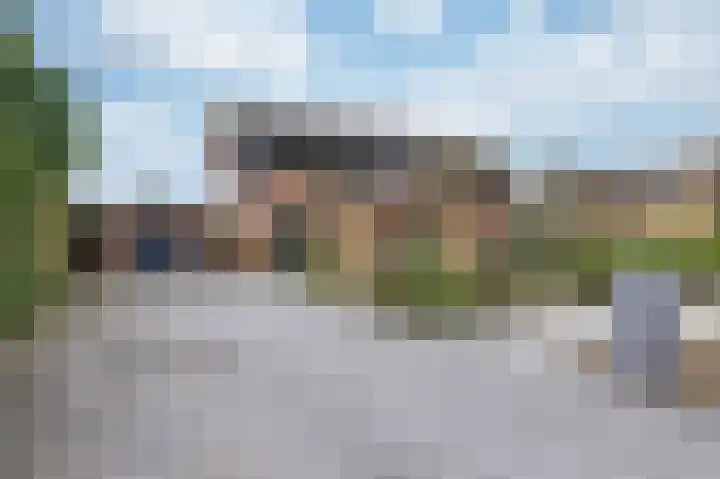 Hollandse Hout 225 Lelystad thumbnail 6