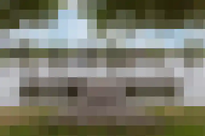 Hollandse Hout 225 Lelystad thumbnail 66