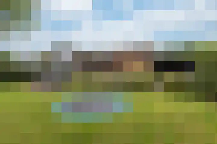 Hollandse Hout 225 Lelystad thumbnail 69