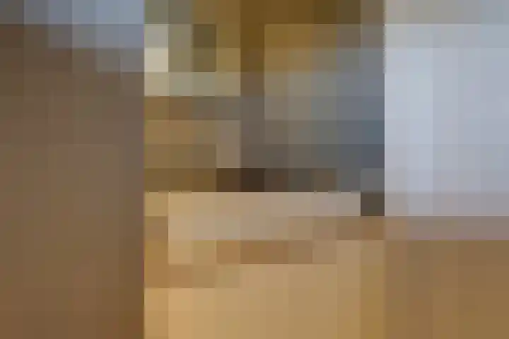 Hollandse Hout 229 Lelystad thumbnail 31