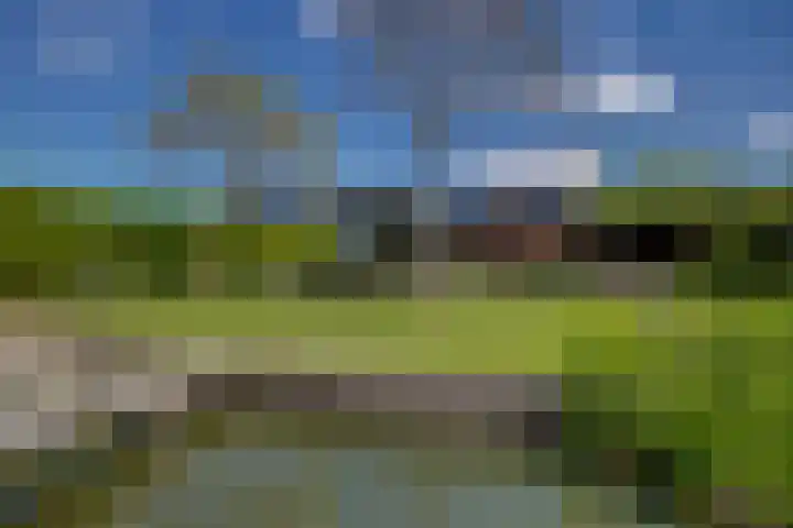 Hollandse Hout 229 Lelystad thumbnail 52