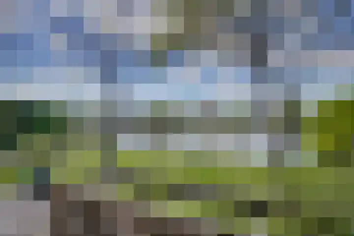 Hollandse Hout 229 Lelystad thumbnail 54