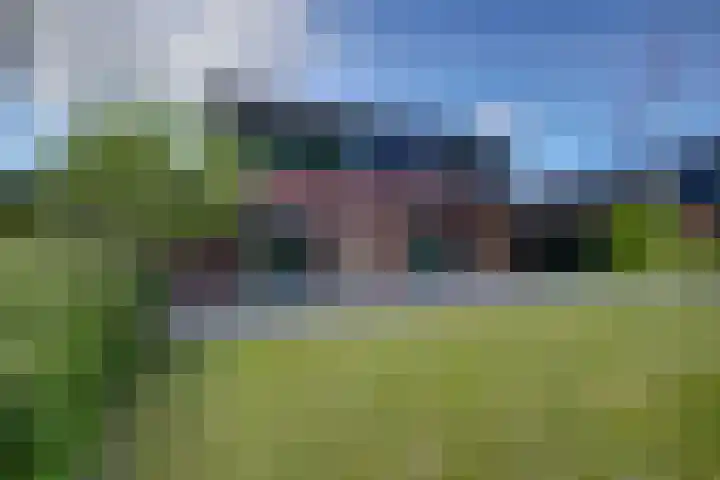 Hollandse Hout 229 Lelystad thumbnail 61