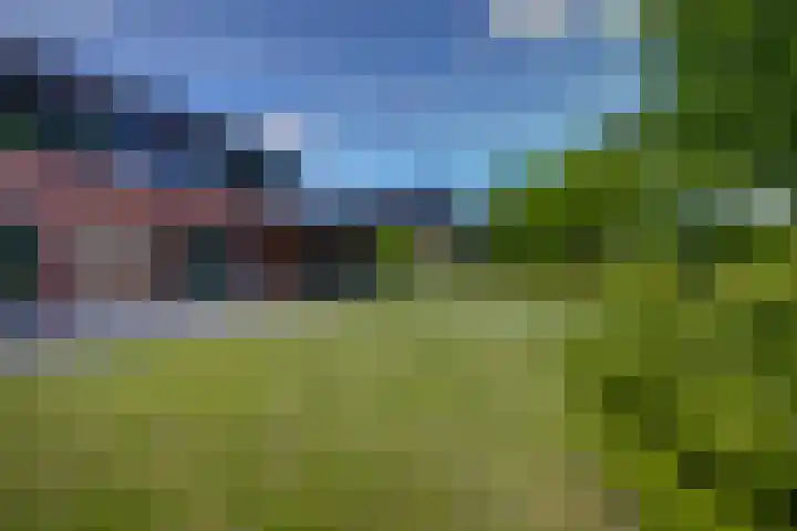 Hollandse Hout 229 Lelystad thumbnail 62