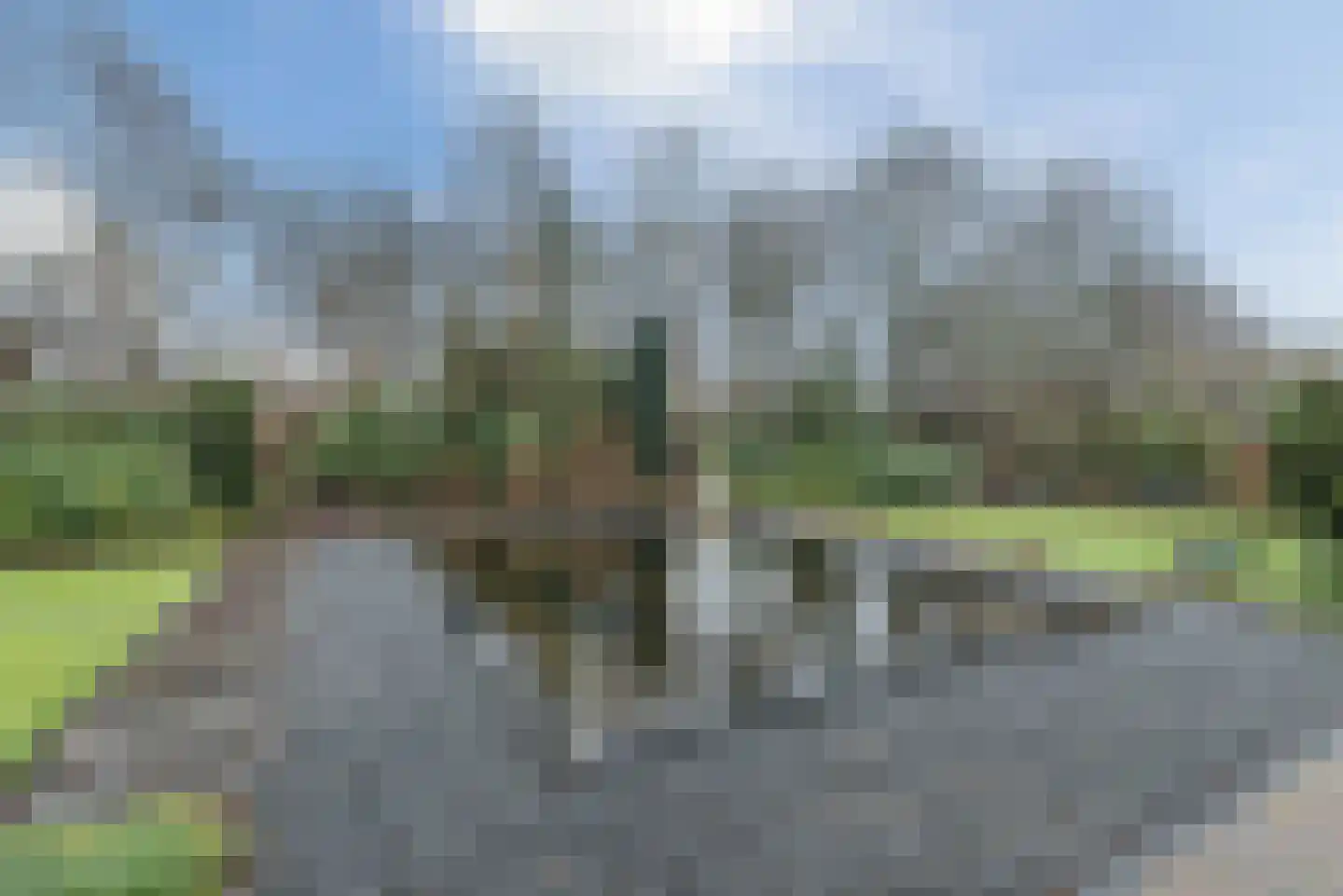 Hollandse Hout 244 Lelystad thumbnail 4