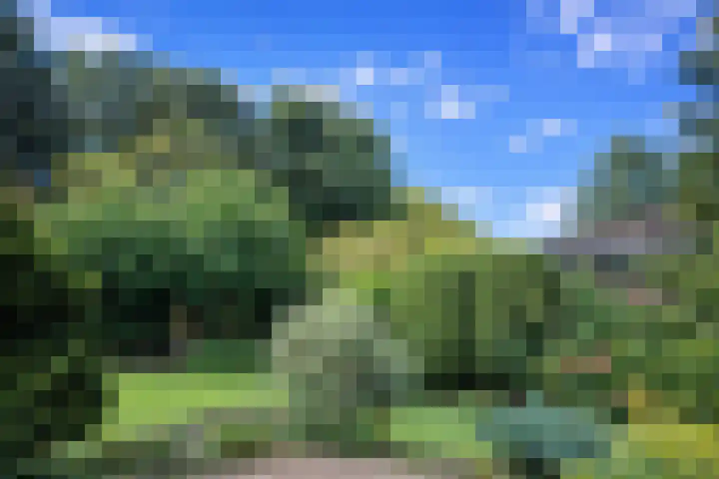Hollandse Hout 244 Lelystad thumbnail 48