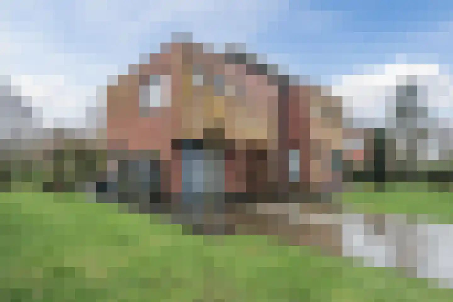 Hollandse Hout 244 Lelystad thumbnail 5