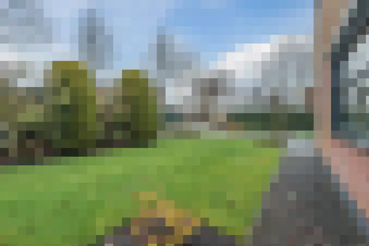 Hollandse Hout 244 Lelystad thumbnail 53