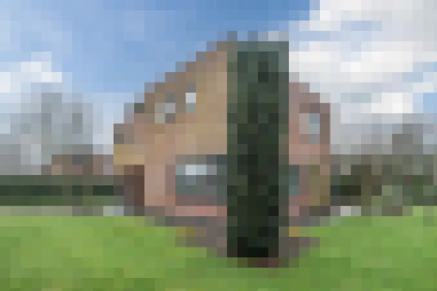 Hollandse Hout 244 Lelystad thumbnail 54