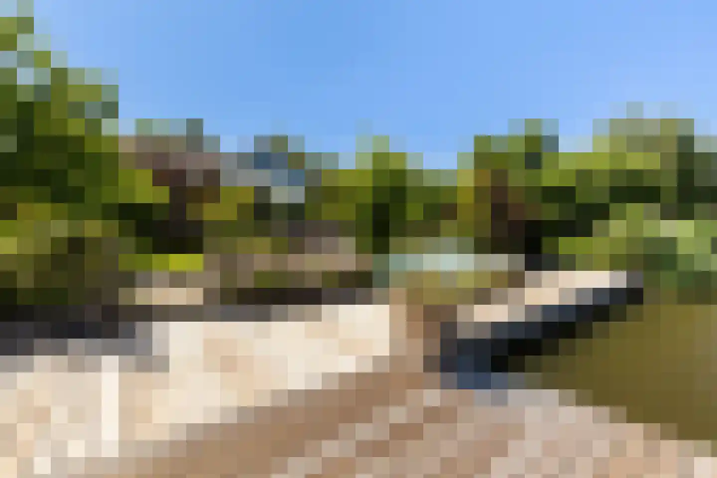 Hollandse Hout 260 Lelystad thumbnail 33