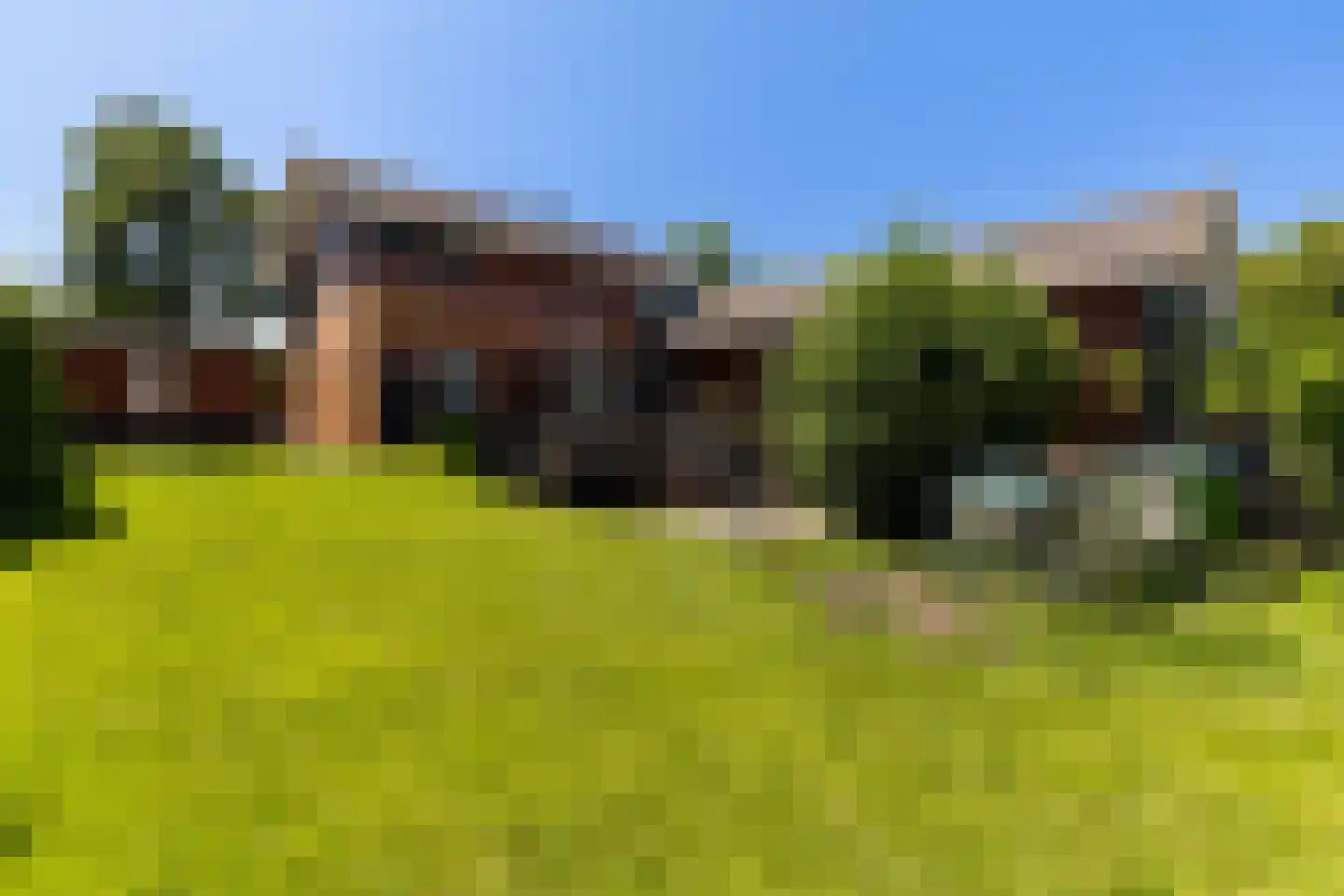 Hollandse Hout 260 Lelystad thumbnail 38