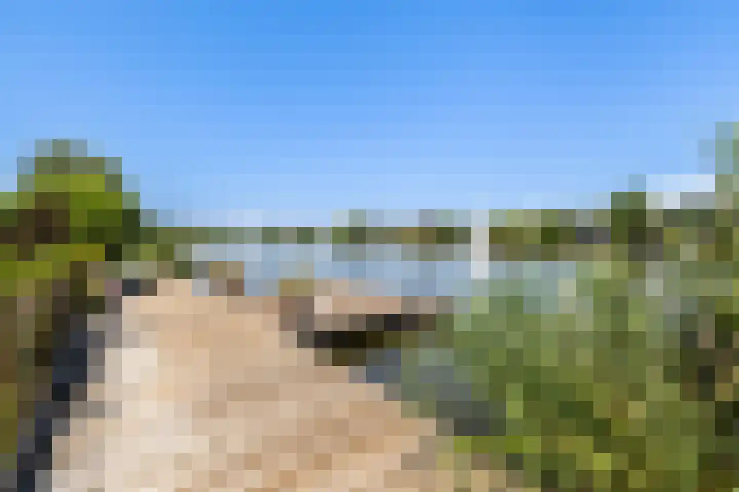 Hollandse Hout 260 Lelystad thumbnail 46