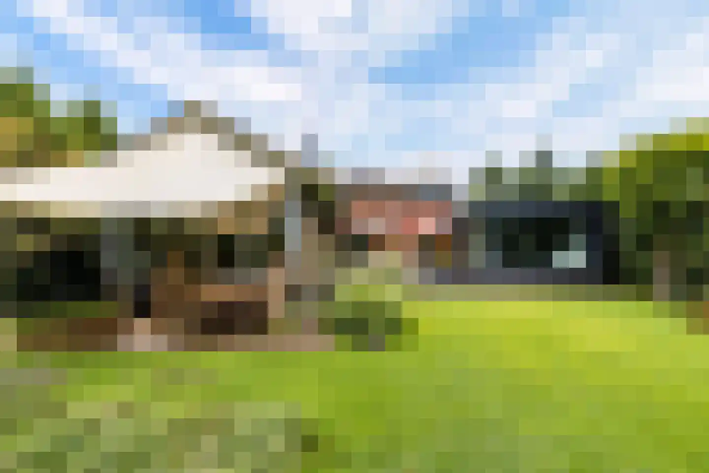 Hollandse Hout 261 Lelystad thumbnail 100
