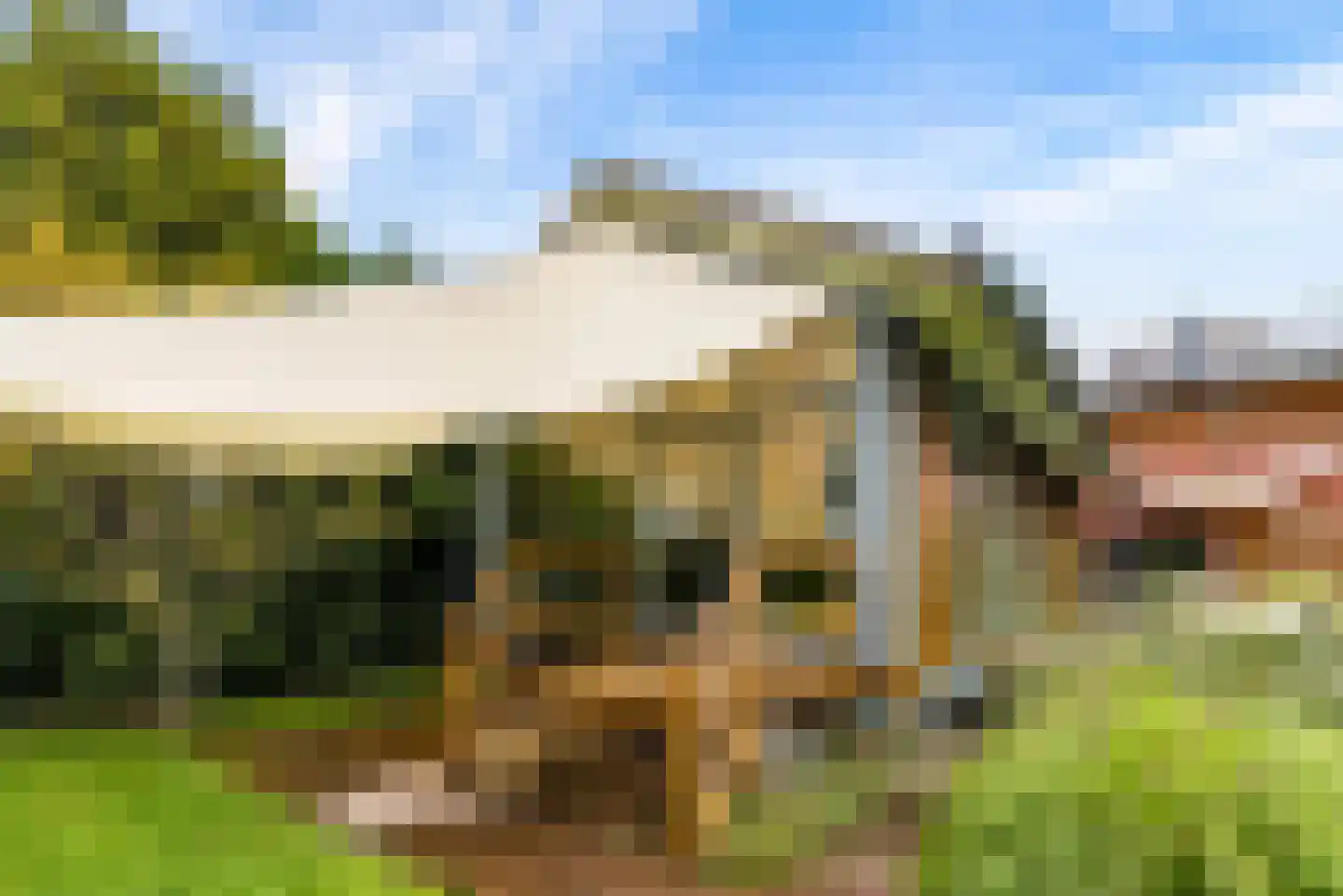 Hollandse Hout 261 Lelystad thumbnail 101