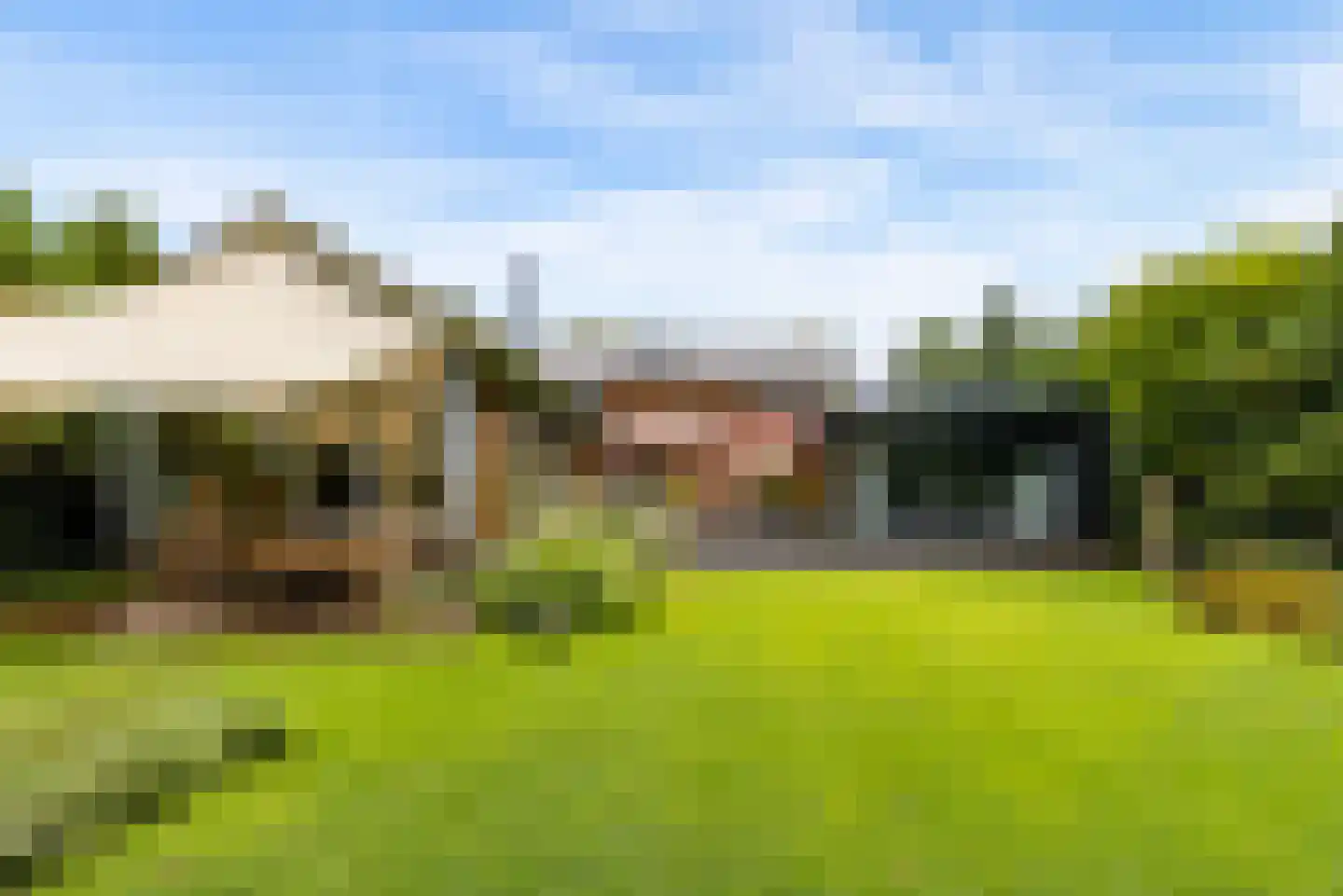 Hollandse Hout 261 Lelystad thumbnail 103