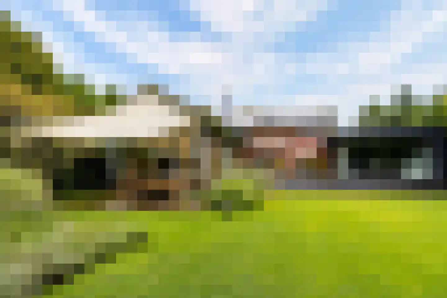 Hollandse Hout 261 Lelystad thumbnail 104