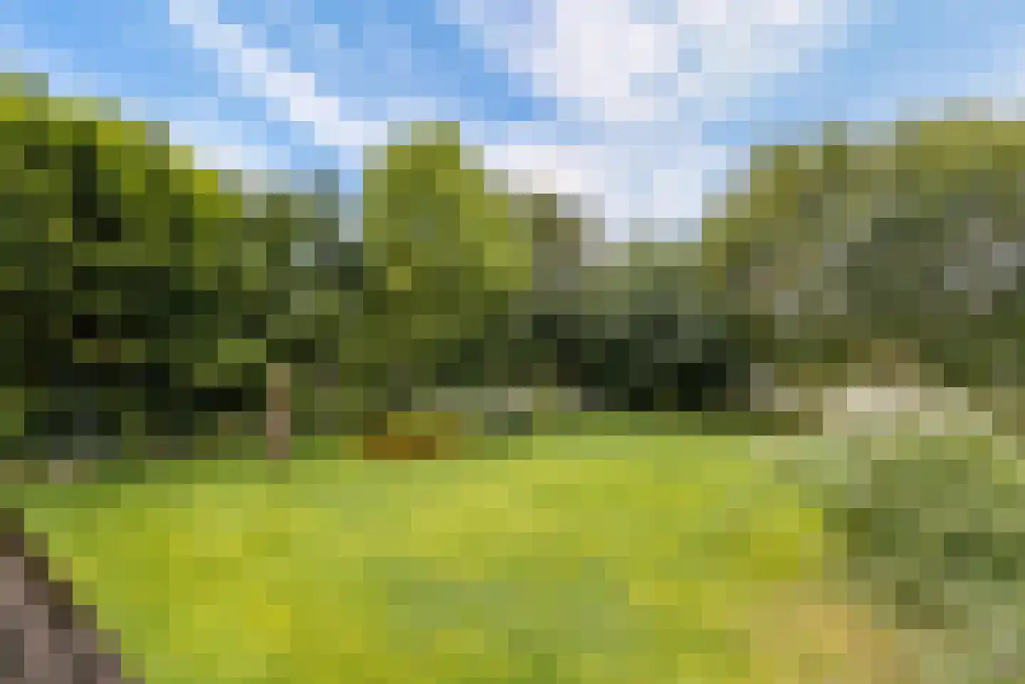 Hollandse Hout 261 Lelystad thumbnail 109