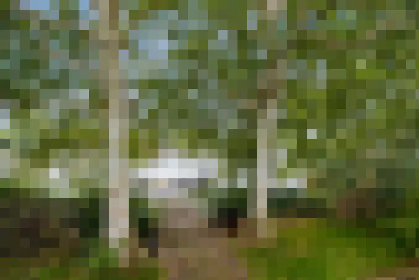 Hollandse Hout 261 Lelystad thumbnail 111