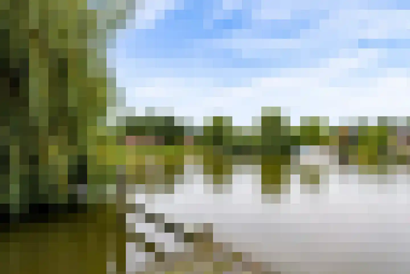 Hollandse Hout 261 Lelystad thumbnail 114