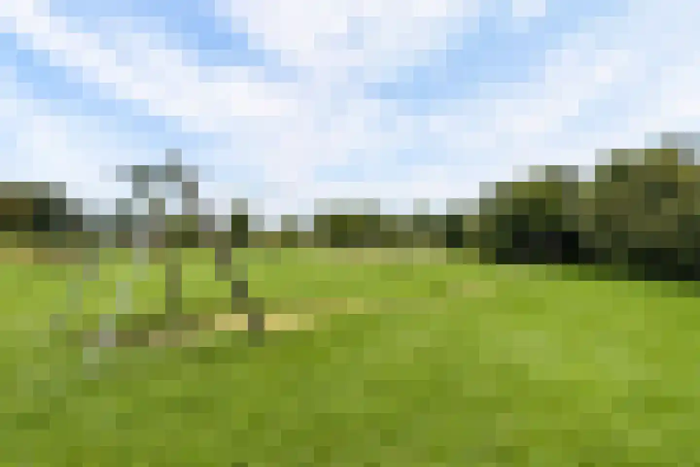 Hollandse Hout 261 Lelystad thumbnail 119