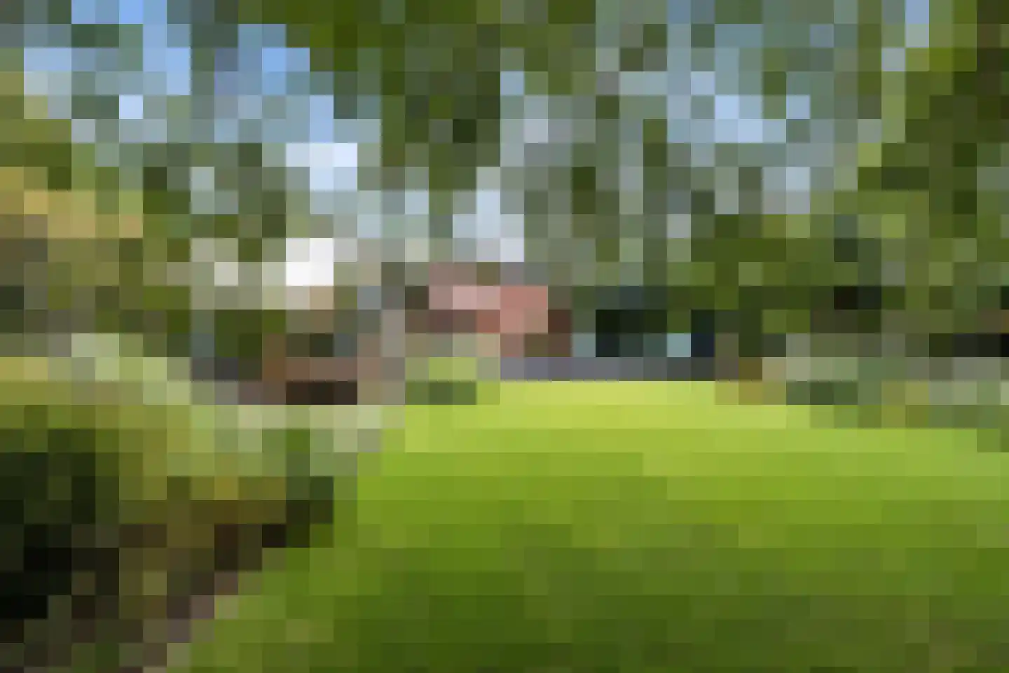 Hollandse Hout 261 Lelystad thumbnail 12