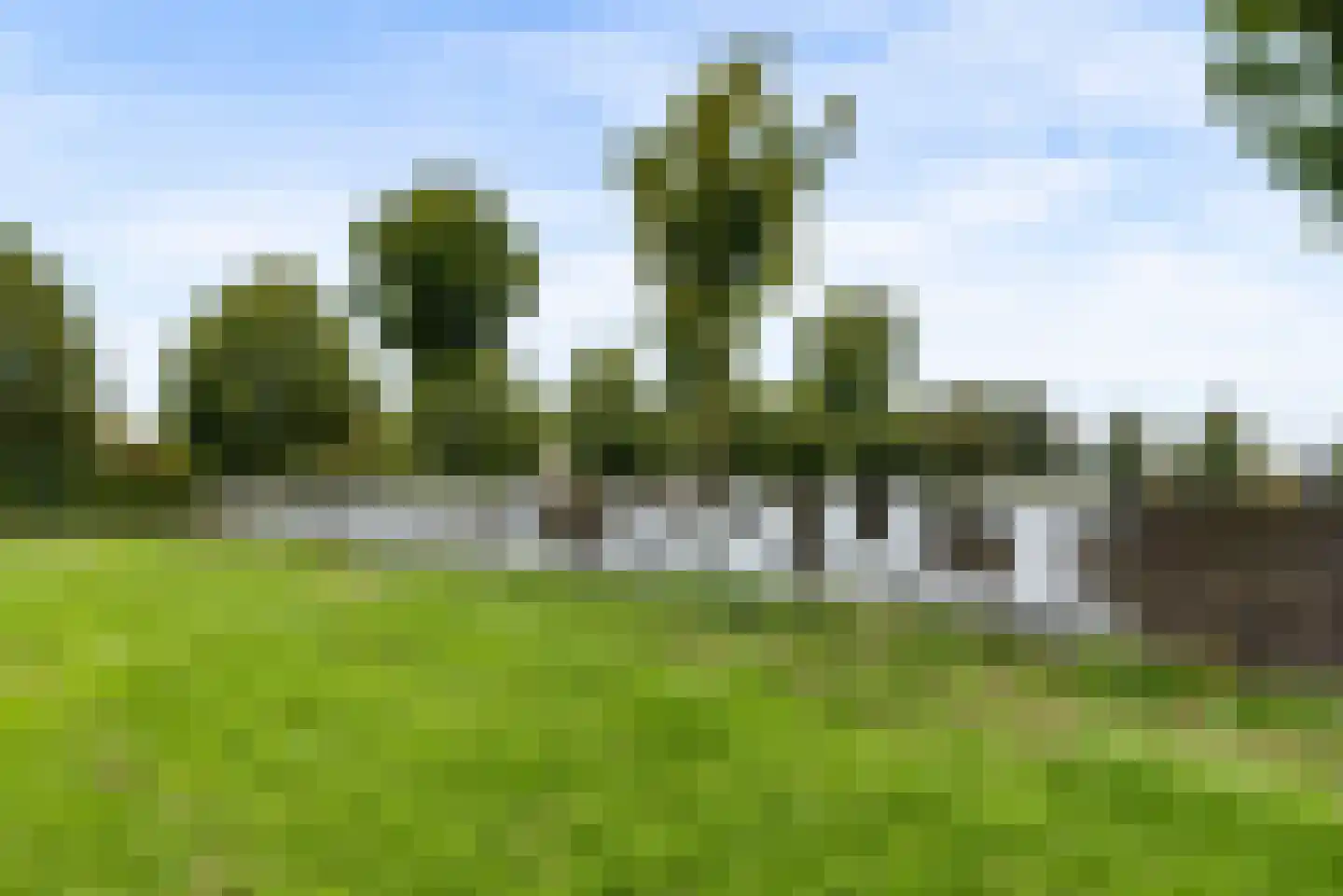 Hollandse Hout 261 Lelystad thumbnail 120