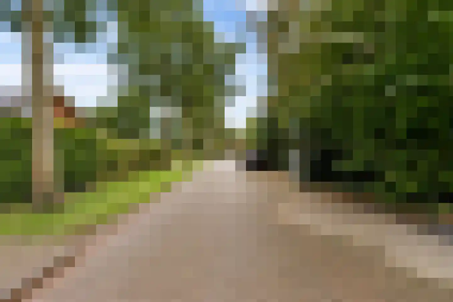 Hollandse Hout 261 Lelystad thumbnail 125